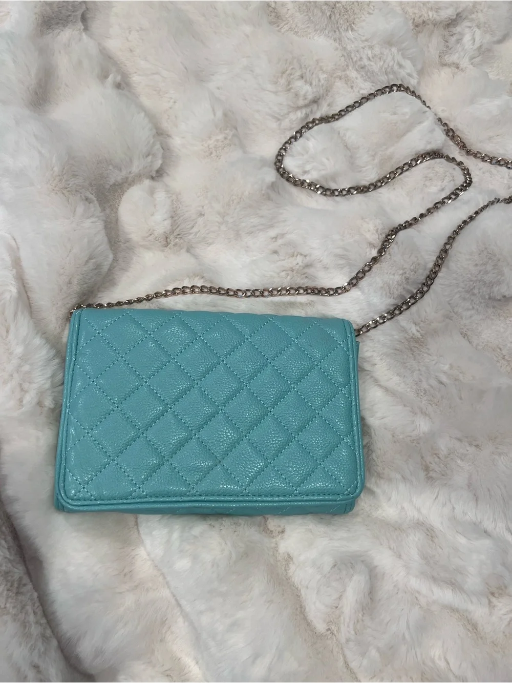 Quilted Mint Crossbody Chain Clutch - Women